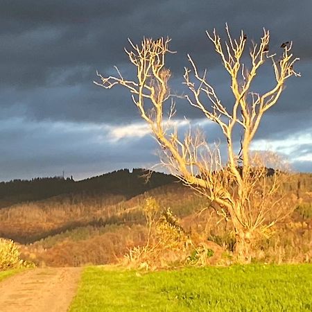 Appartamento Steinberg-Blick Herzberg am Harz Esterno foto